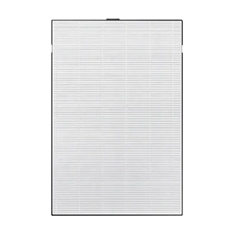 OEM 2-In-1 HEPA Carbon Air Filter CFXD100D for Samsung Air Purifiers AX60N5580WDD AX60A5510WFD AX60M5550WFD AX60R5080WD