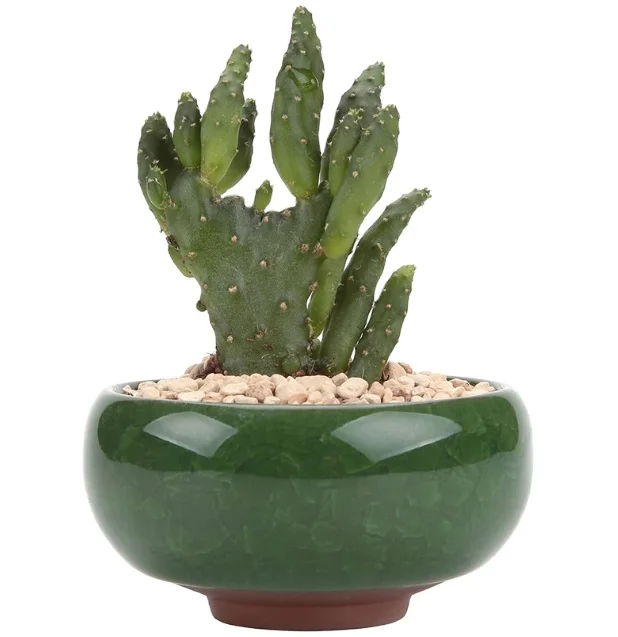 Ceramic Mini Flower Pot Cactus Plant Pots Flower Pots Container Planter for Home Garden Office Decoration
