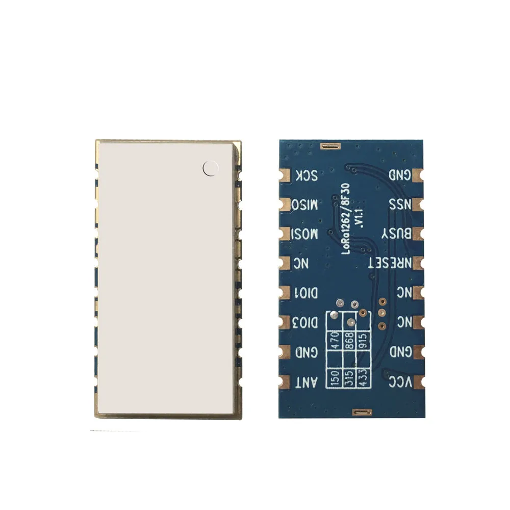 G-NiceRF  2W High Power Wireless Transceiver Module LoRa1262F30  SX1262 LORA Module High power long range
