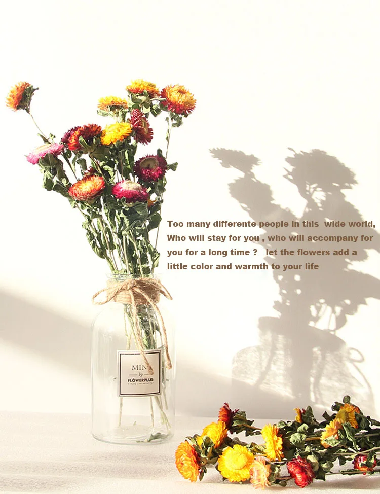 wholesale Decorative dried flowers Flower arranging Colorful Chrysanthemum Helichrysum preserved Strawflower