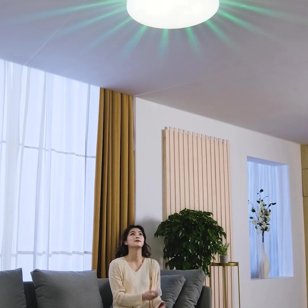 Wholesale Price Big Size D600mm Round Remote Control Lighting LED light Ceiling For Home