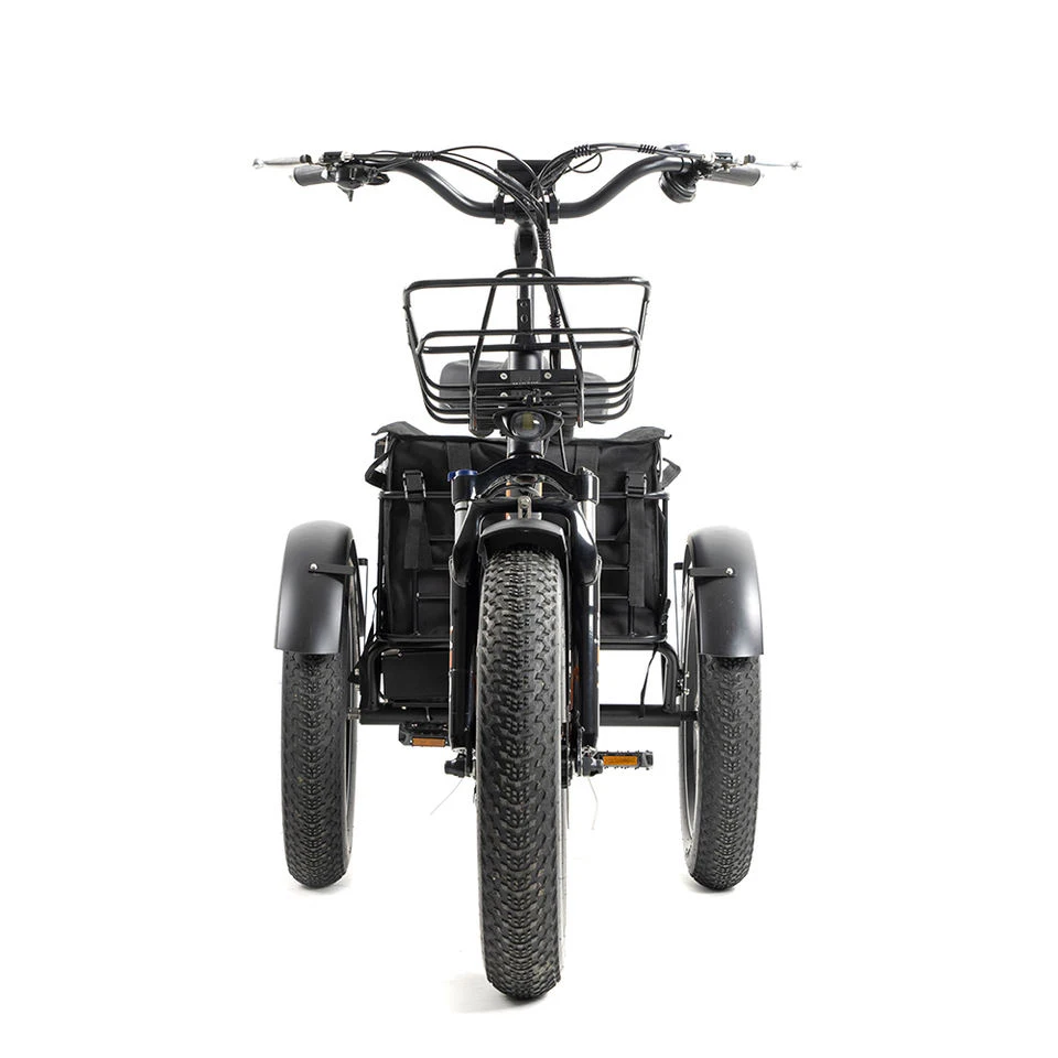 Трехколесный трехколесный электрический велосипед 20 дюймов 750 Вт