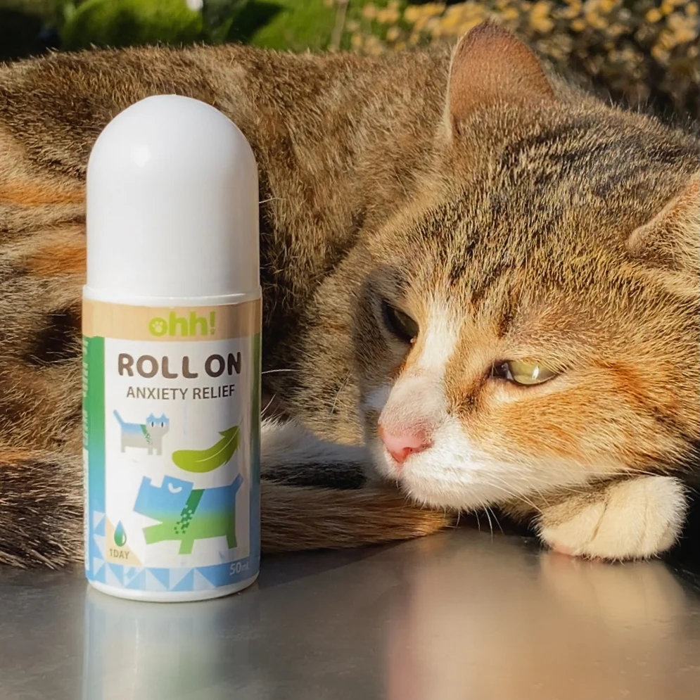 
High quality hot selling effective Anxiety relief roll on bottle for sale 