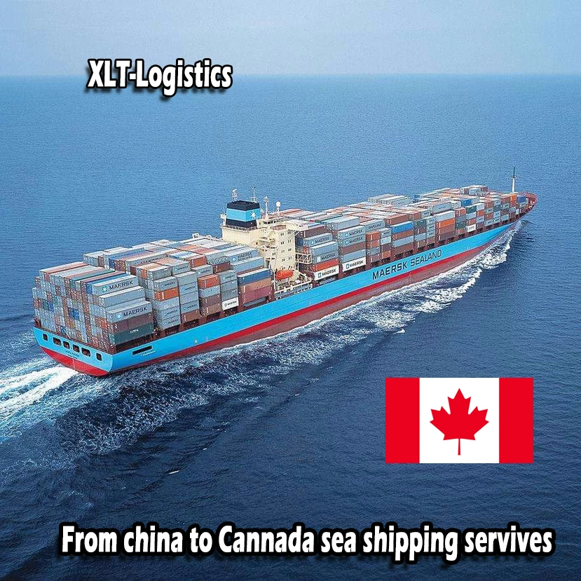 sea freight rates China to Canada from Shenzhen Guangzhou Shanghai Qingdao Tianjin freight forwarder