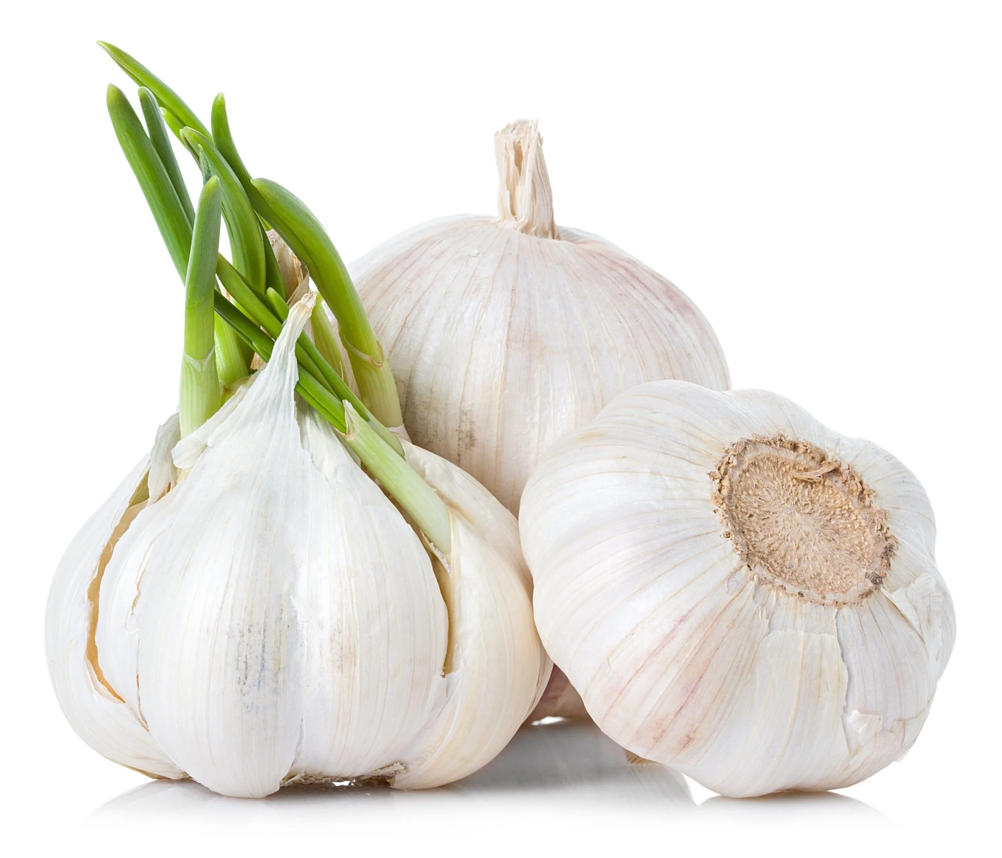 
HIGH QUALITY FRESH AND DRY GARLIC FROM WEST AFRICA 
