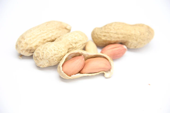 raw dried peanuts in shell