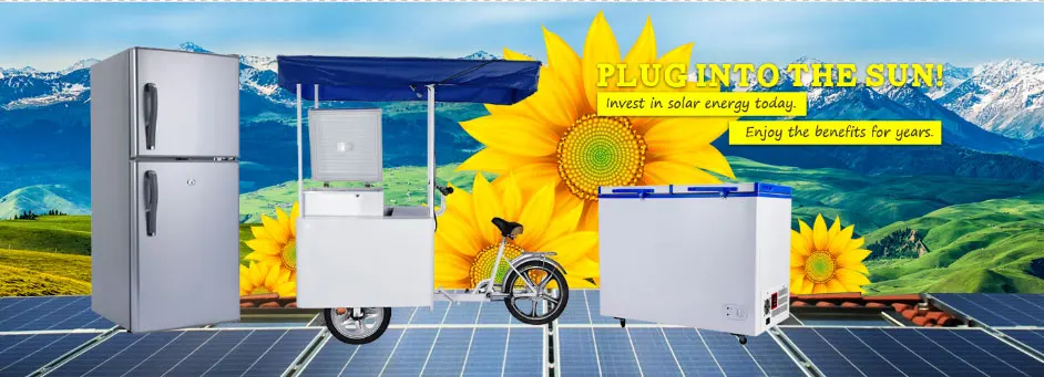  12V/24V double doors top freezer 218liter BCD-218 solar refrigerator
