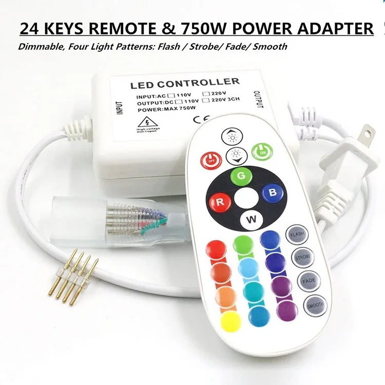Holiday Lighting AC220V AC110V RGB Neon Lights Power Supply PLug For Tira Led RGB Neon Flex Remote Control