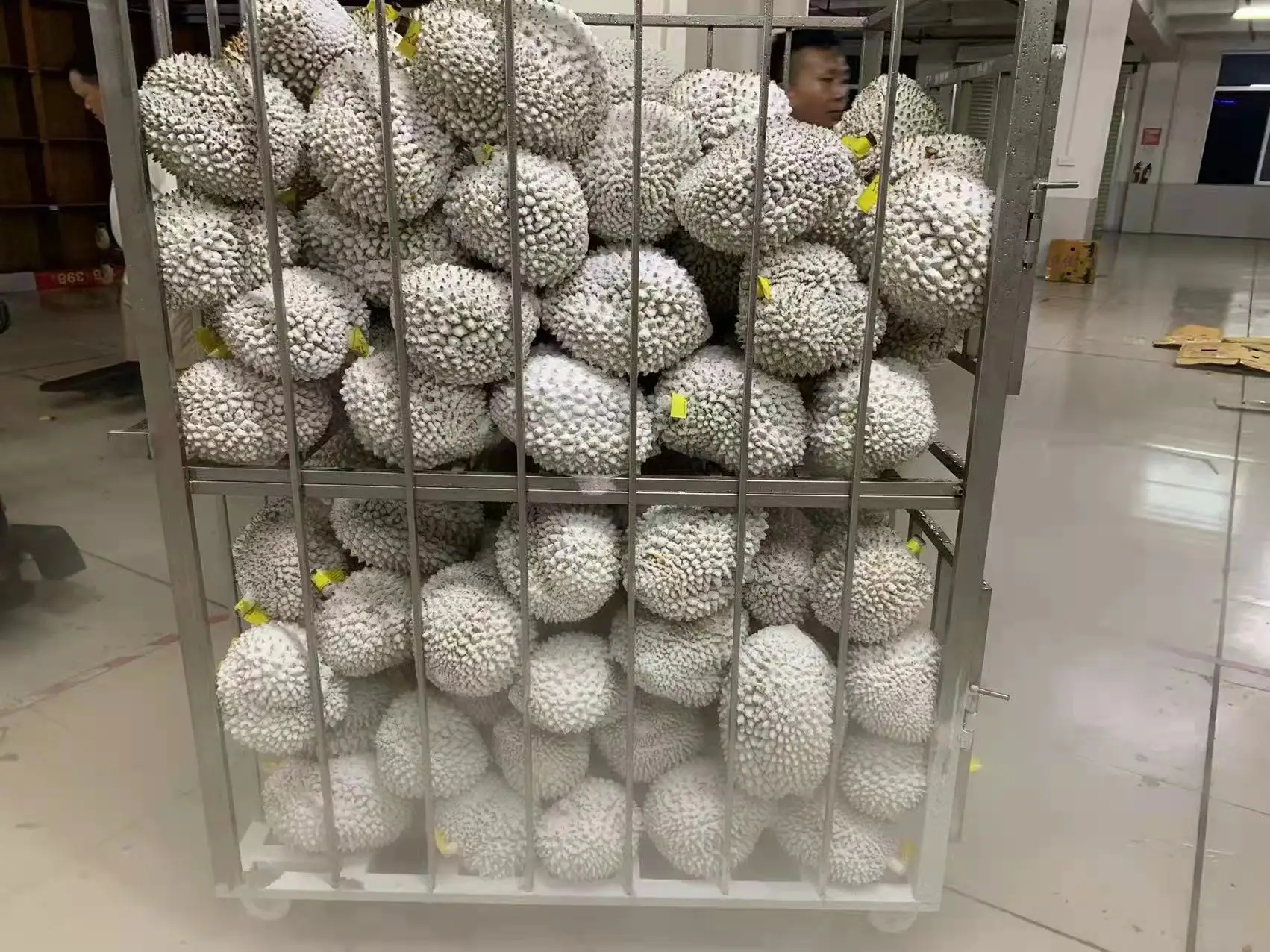 Best Price Individual Quick Freezing shrimp freezing equipment liquid nitrogen freezing equipment Cabinet Freezer Product