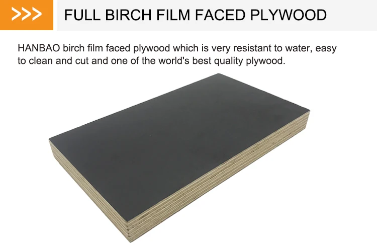 9-birch_01-2-1.jpg
