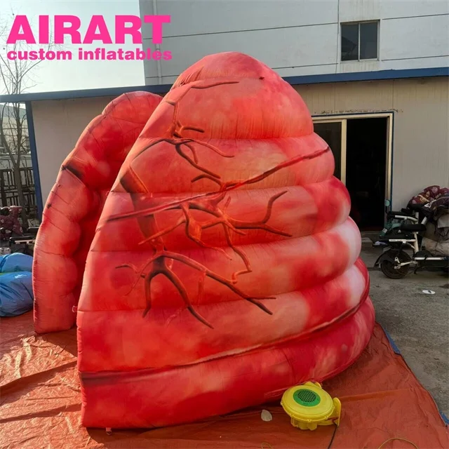 Healthy inflatable lung model, factory price inflatable lung for outdoor advertising