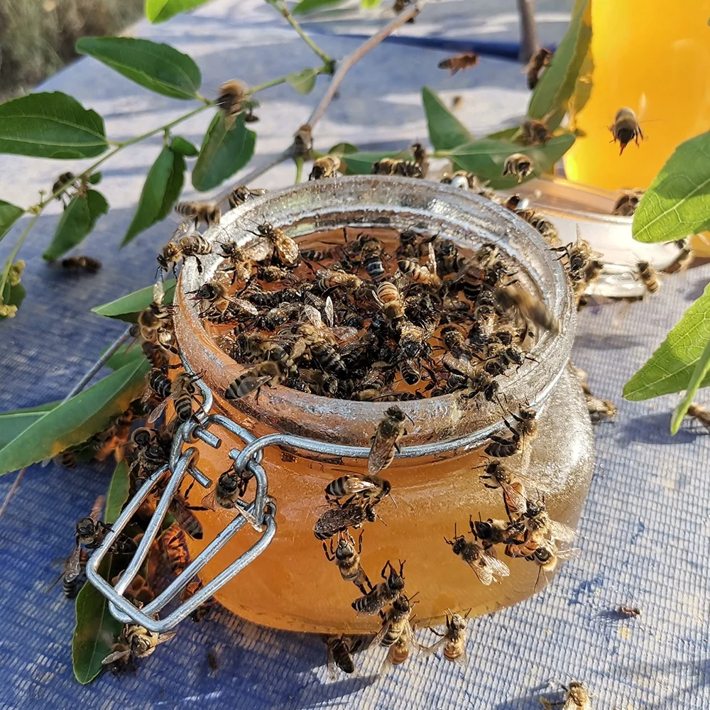 290KG  Plastic Gallon  Chinese Sider Honey  For bulk Natural Honey