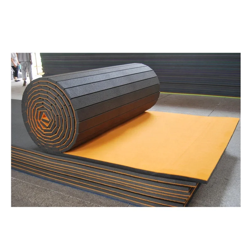 Color Custom Wushu Sanda Rollout Mat Rhythmic Gymnastics Carpet Kendo Roll Mat