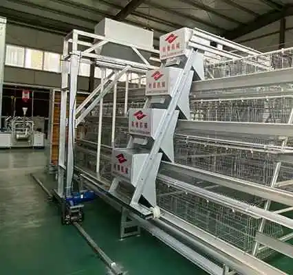 A-type Automated Chicken Coops With 4-layer Battery Cages For Poultry Farming