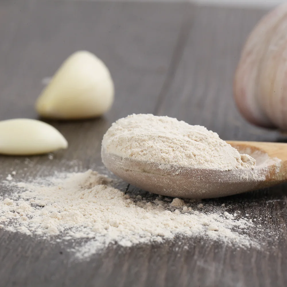 Factory Directly wholesales 2023 new crop healthy food garlic powder 100% purify organic garlic powder for spices seasonings