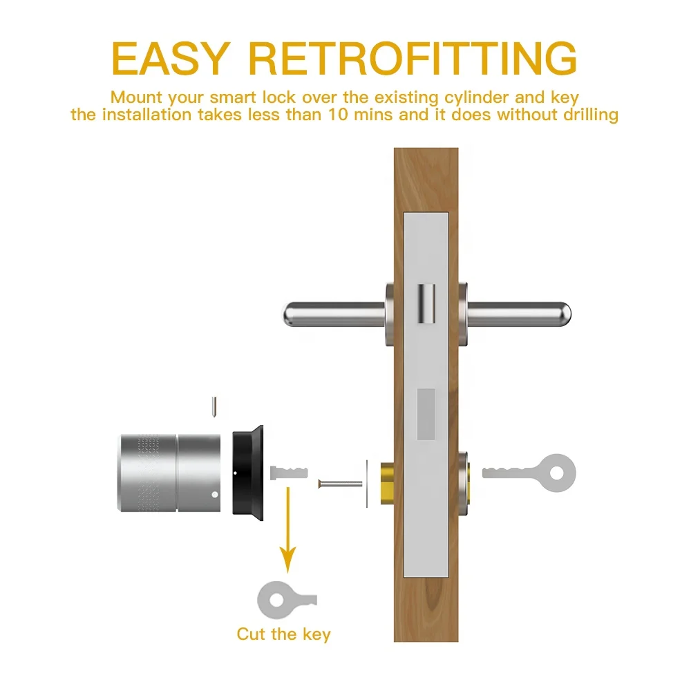 Tuya App Siri Key Manual UNLOCK Auto Smart Digital Lock EU Retrofit Lock Cylinder
