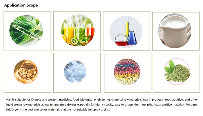 Vacuum drying dehydrator machine for food additive