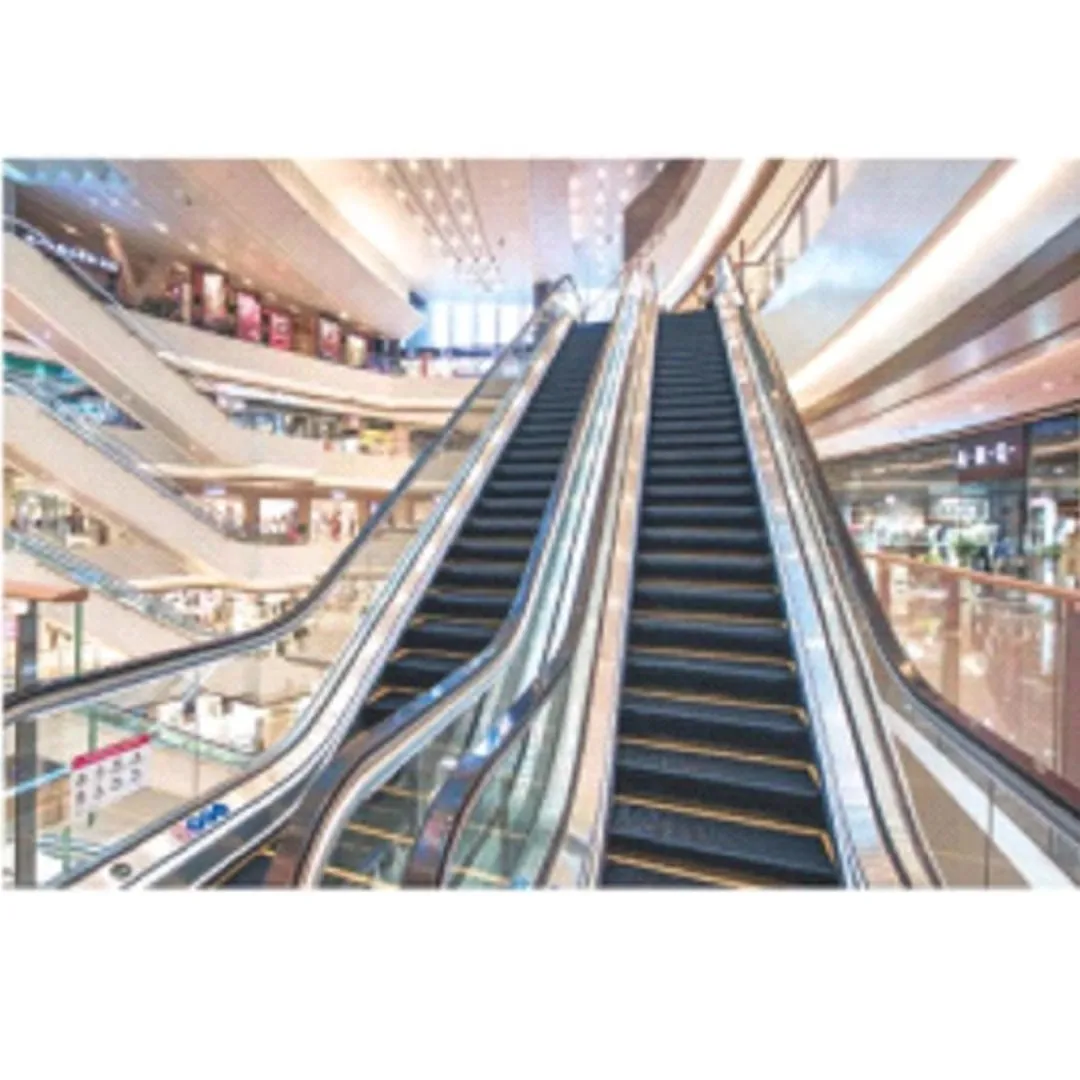 Fuji Escalator Commercial Escalator Cost Indoor and Outdoor High-Quality Electric Escalator