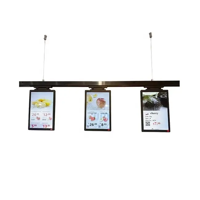 10.1 Inch Tft Lcd Digital Price Tag Electronic Shelf Label For Retail Store With Wifi Electronic Automatic Full Color Screen