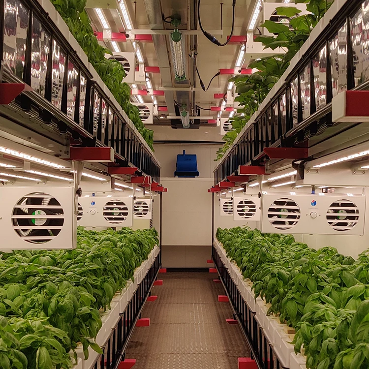 Smart Farm Hydroponic Plants Rack Indoor Vertical Growing System