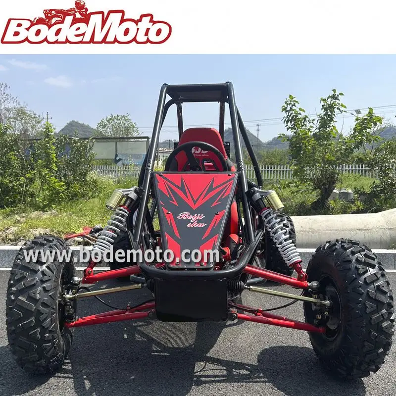 300cc adult professional racing go kart 200CC for Kids