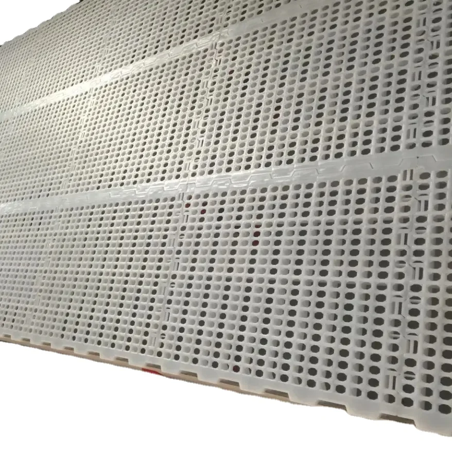Plastic Frame Poultry Duck Chicken Broiler Breeder Layer Farm Cage house Farming Raising Growing Equipment Plant Slat Floor