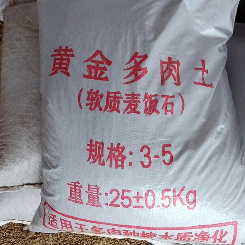 Golden Maifan Stone for horticultural succulents planting with Golden Maifan Stone