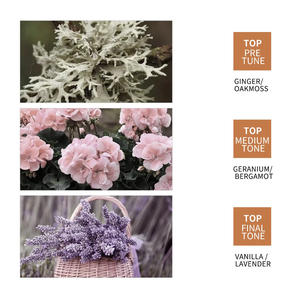 Customized Organic Repair women Man care ginger hair growth serum private label liquid hair oils for hair growth oil serum