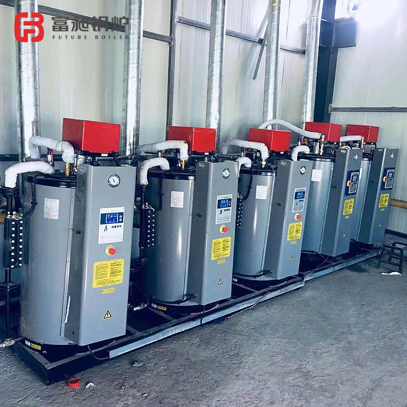 Vertical Automatic Gas Fired Steam Boiler LSS0.1-0.7-Q