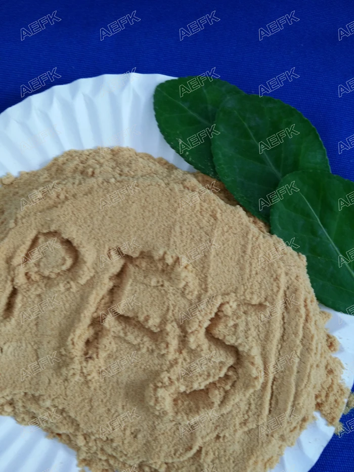 poly ferric sulfate for Paper plant