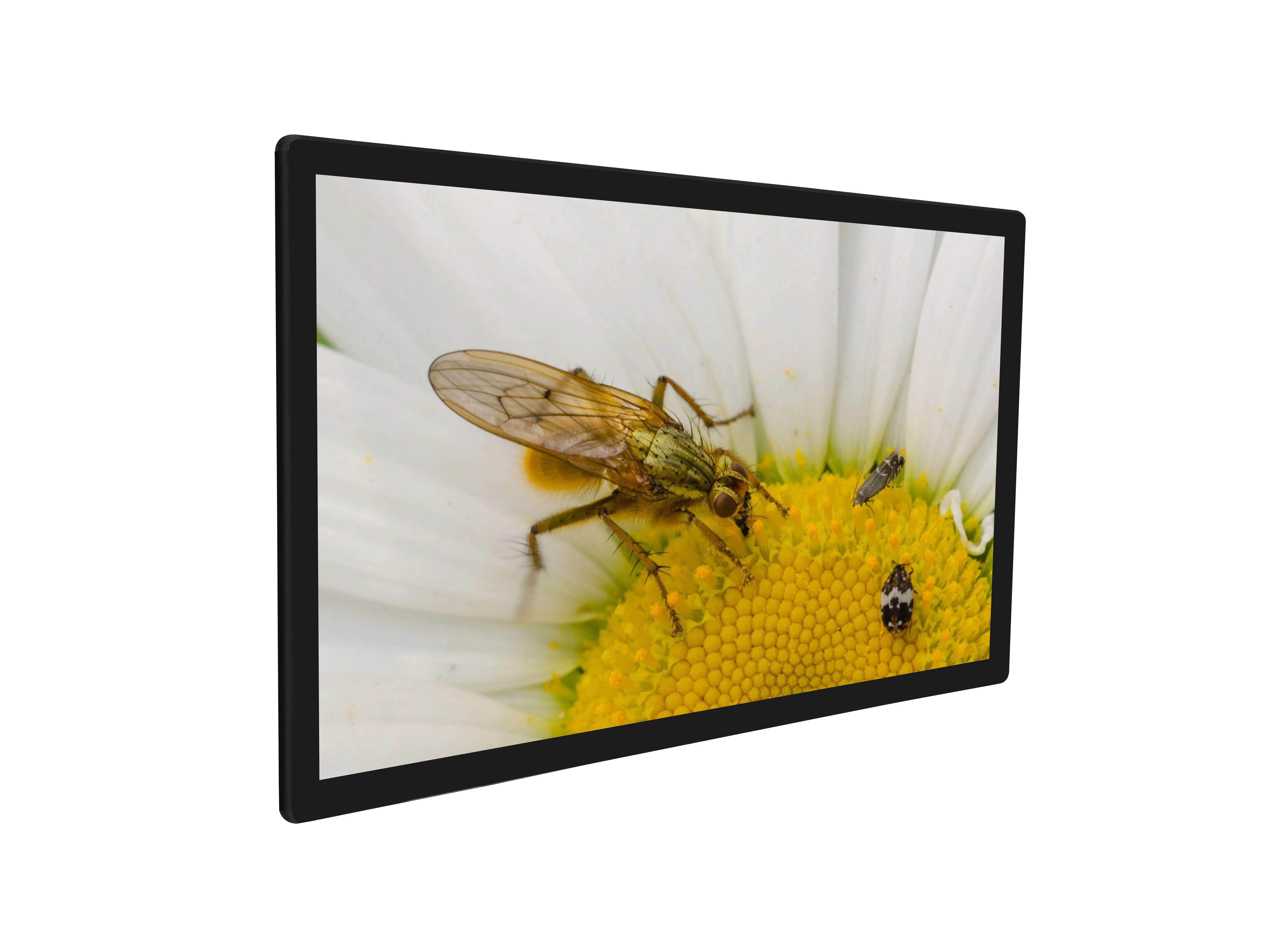 
42' wall mounted Digital Signage / Advertising Display Player / Open frame Touch screen / multi touch kiosk 