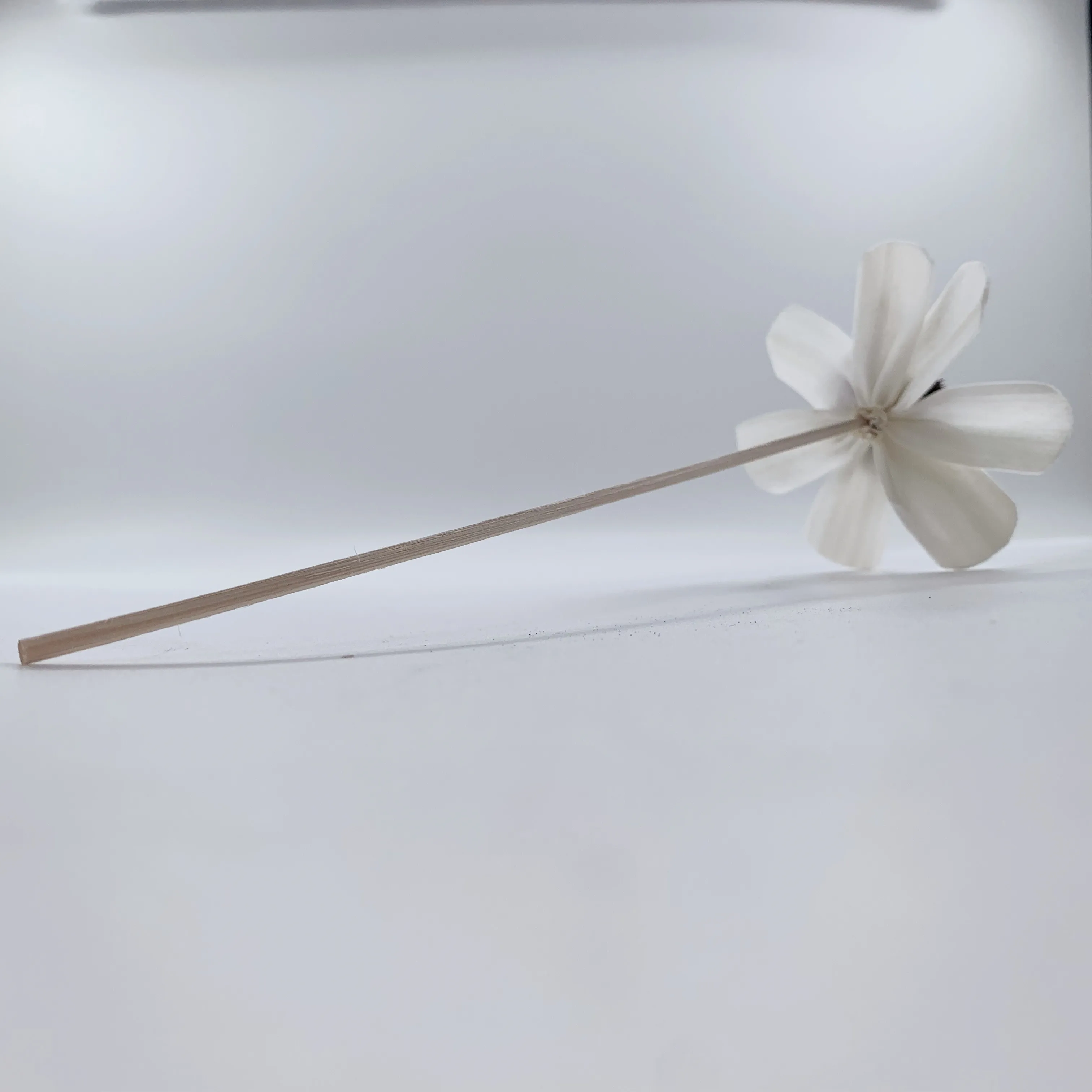 China factory  handmade reed diffuser sola flower dried wood sun Flower with rattan sticks