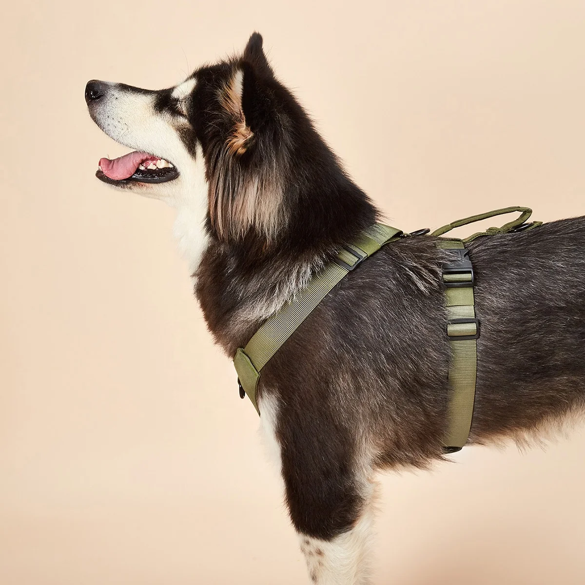 Wholesale OEM Manufacture Multi Colors Fashion Luxury Jacket Personalized Nylon Easy Adjustable Dog Pet Harness
