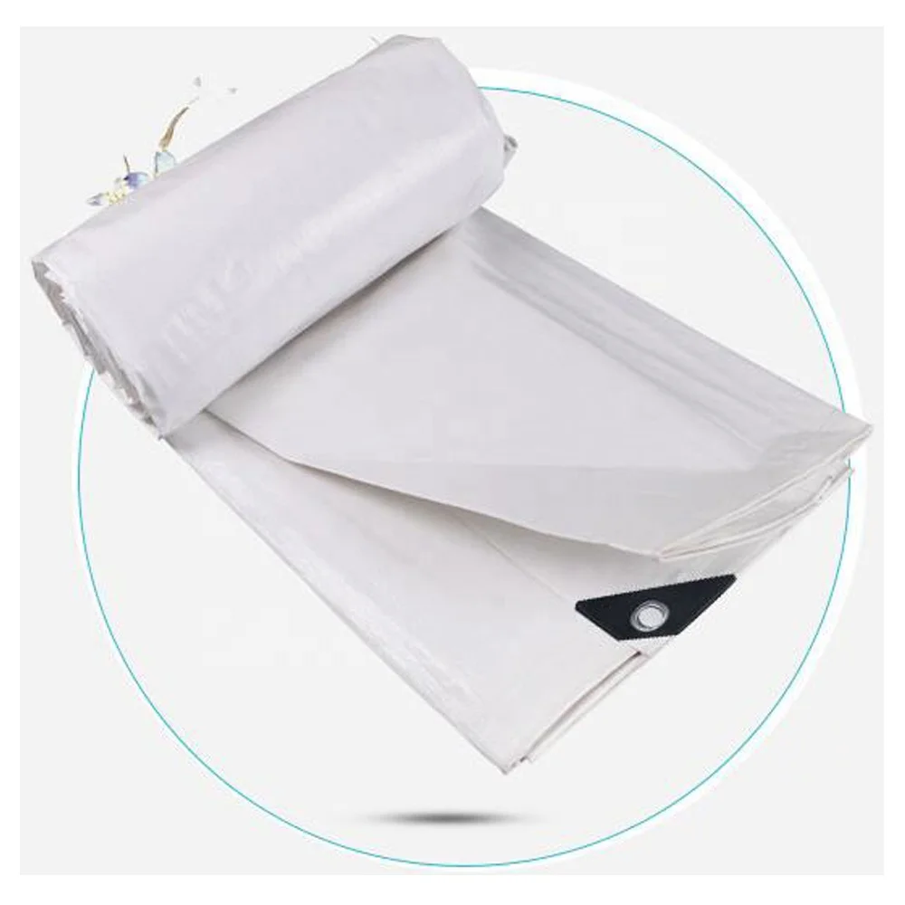 Good Price CHINA PE TARPAULIN