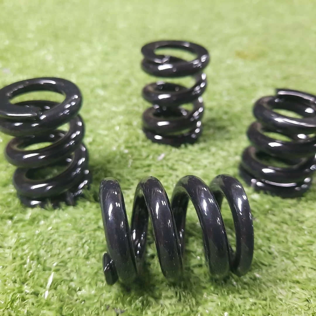 Manufacturer black powder coating garage door torsion spring