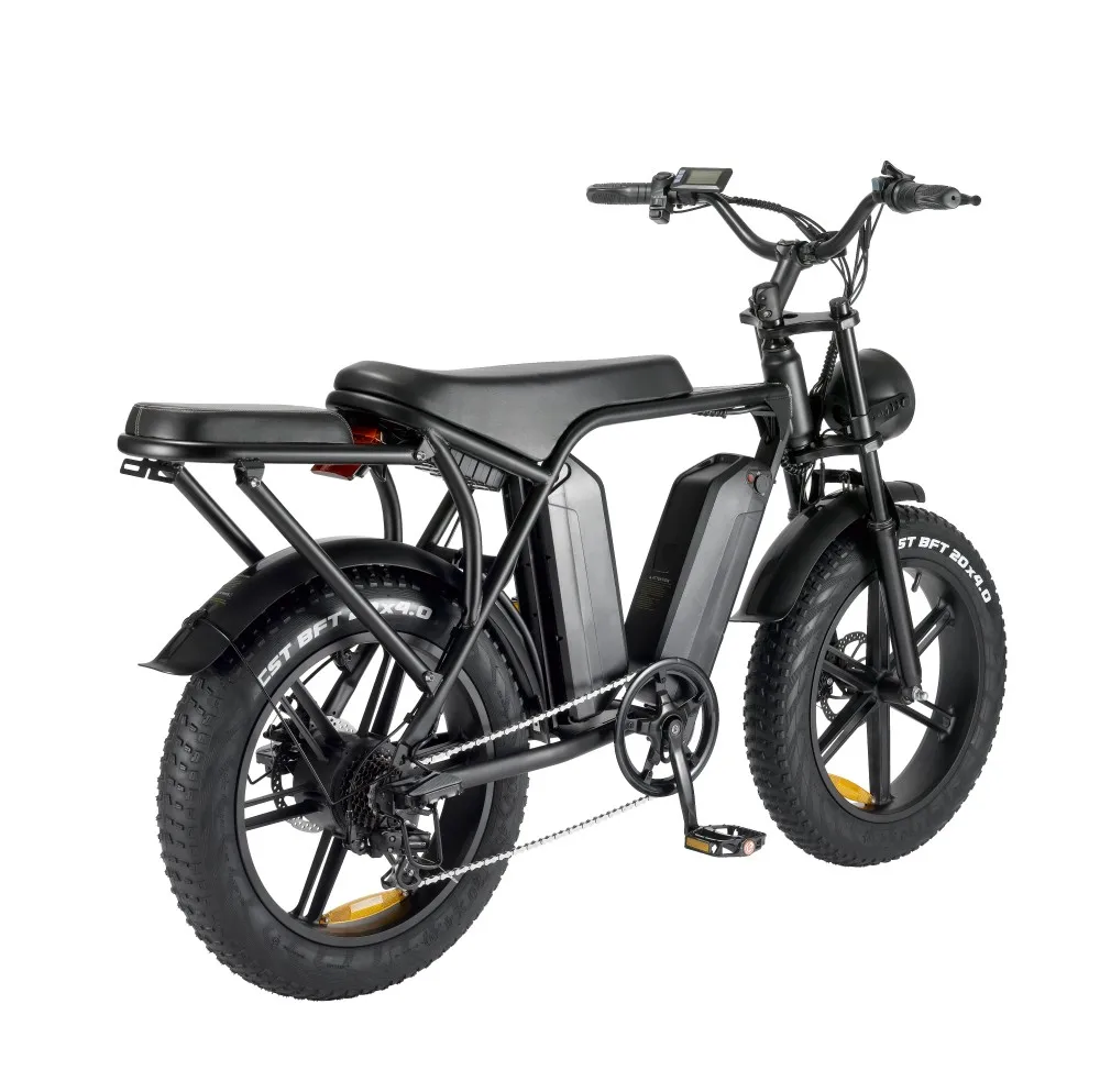 Holland warehouse in stock electric mountain bicycle V8 ouxi city cycling vehicle adult bike two battery for sale