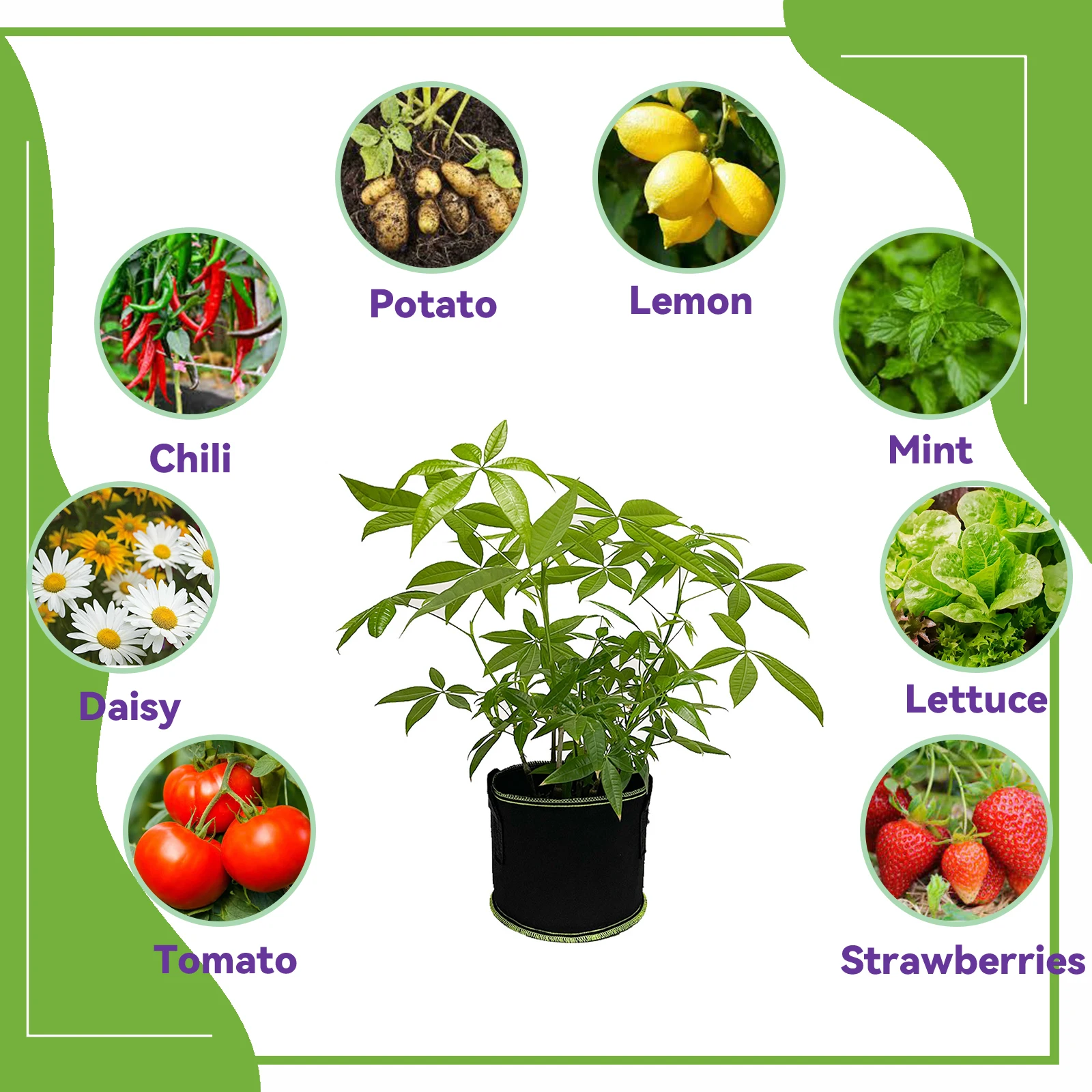 Garden 1St 7 10 Gallon Blueberry Grow Pots Hydroculture Home Nursery Fabric Grow Pots For Plants
