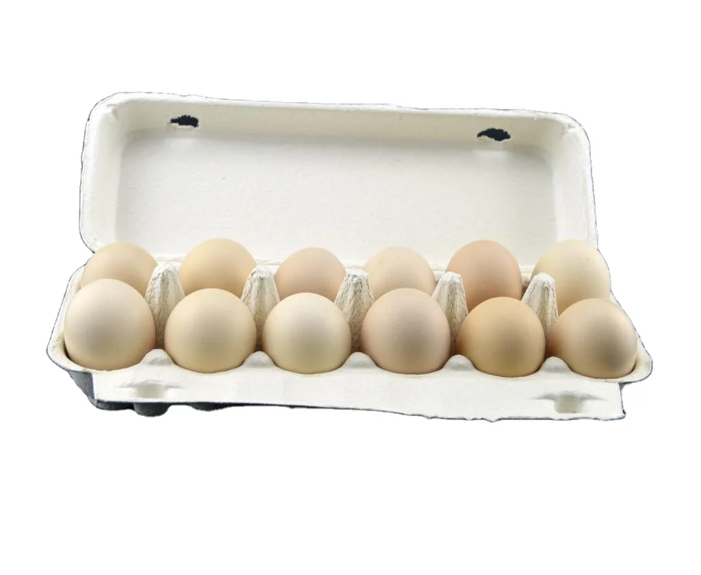 
Automatic Rotary pulp molded products paper egg tray machine production line 