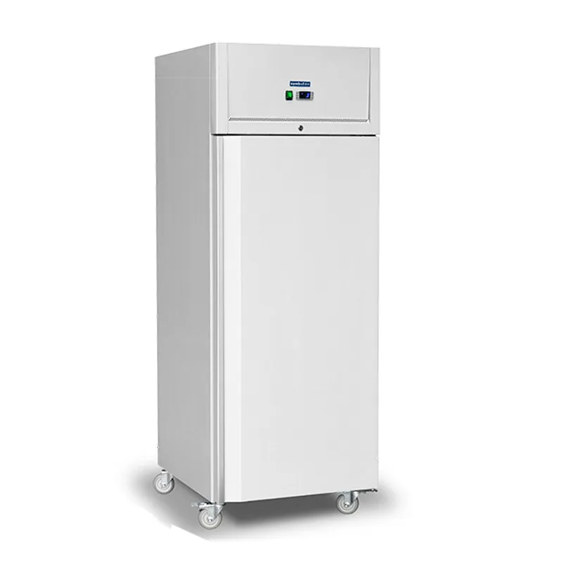 460L Hot Selling Single Door Fast Vertical Deep Freezer Water Stand Upright Freezers with good service