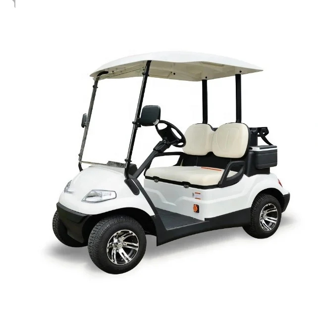 cheap 2 seater golf carts with nice design high quality from direct factory in China customization supported
