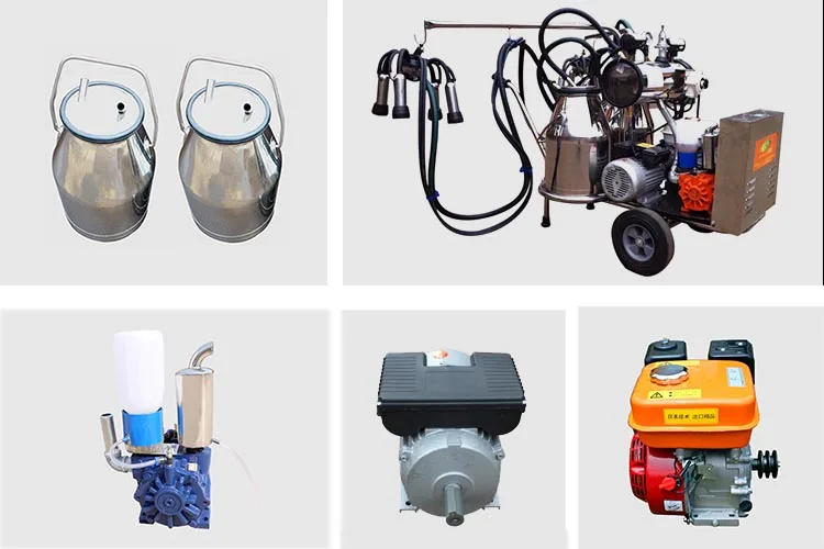 High quality the cow sheep with electric pulse milking machine