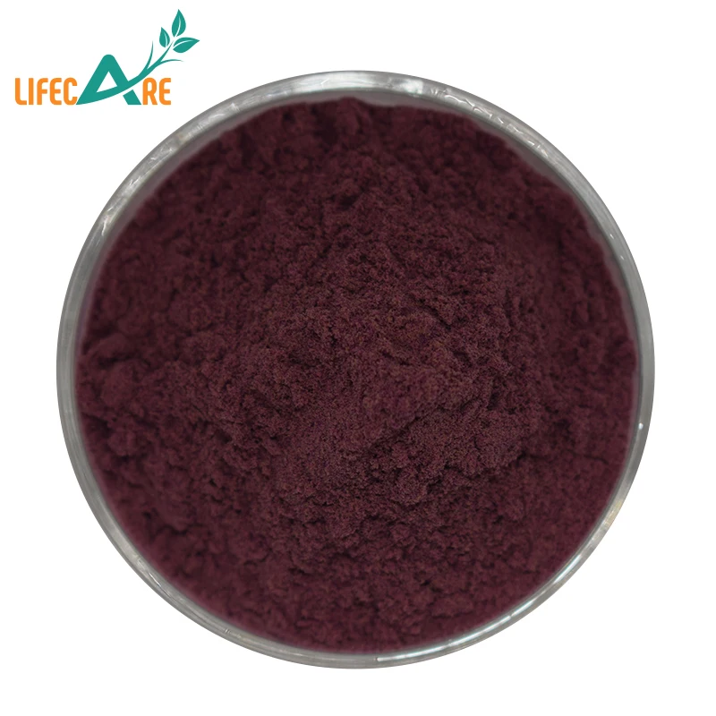 Factory supply Black Wolfberry Powder Fruit Extract Black Goji Berry Powder