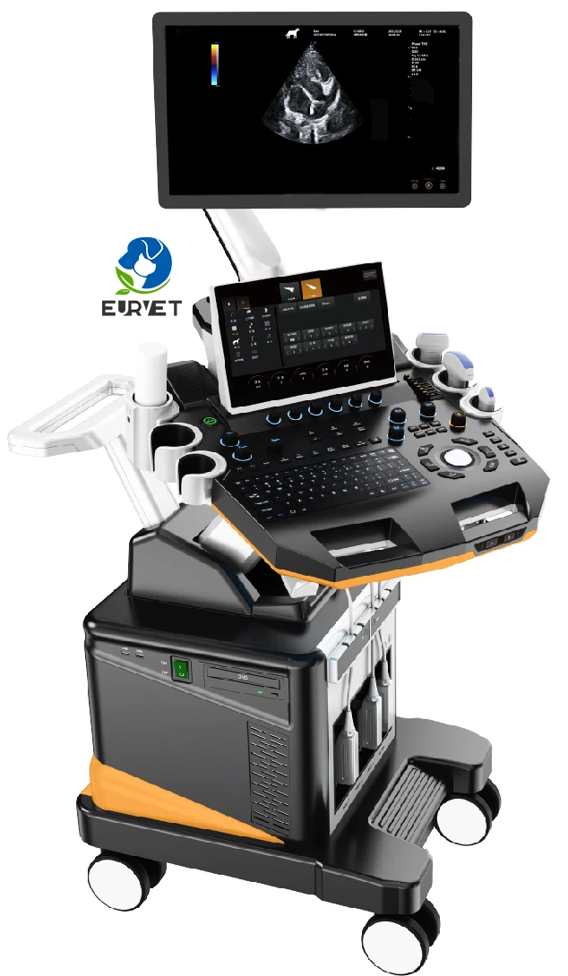 EUR VET Digital Color Doppler Ultrasound Scanner Lab Medical Equipment 21.5-inch Medical Hd Monitor Trolley Ultrasonography