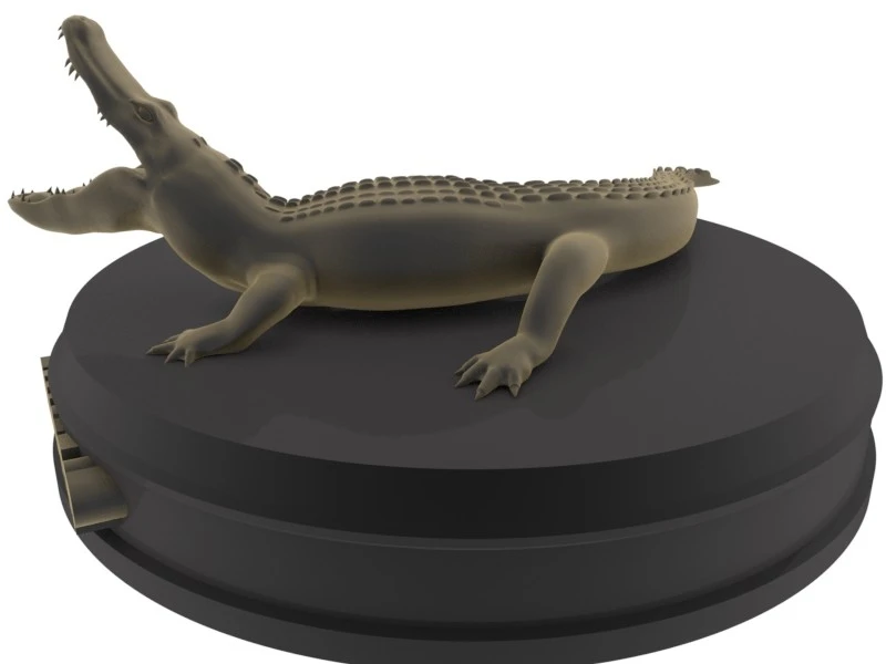 3D Aligator2.jpg