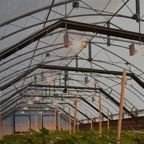 Agricultural hemp greenhouse light deprivation greenhouse Greenhouse black