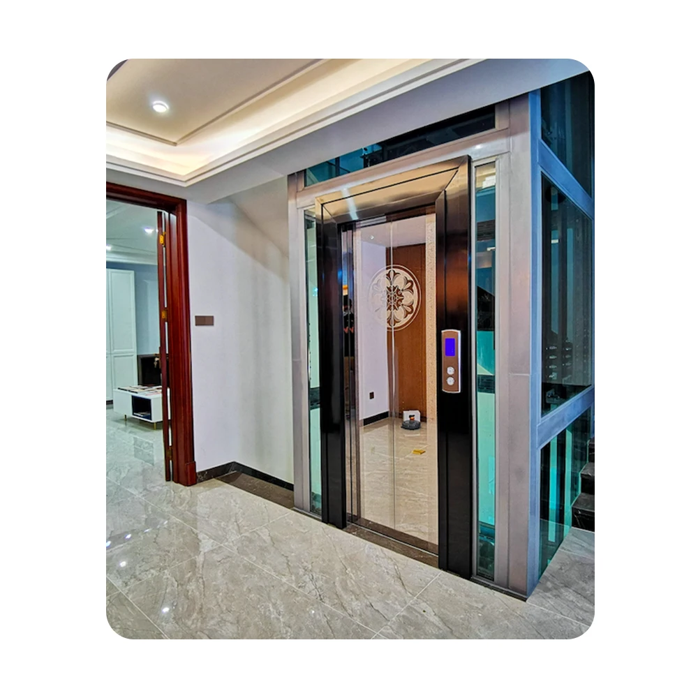 Recommend sightseeing comfortable China stainless steel 220v 380v home external lift