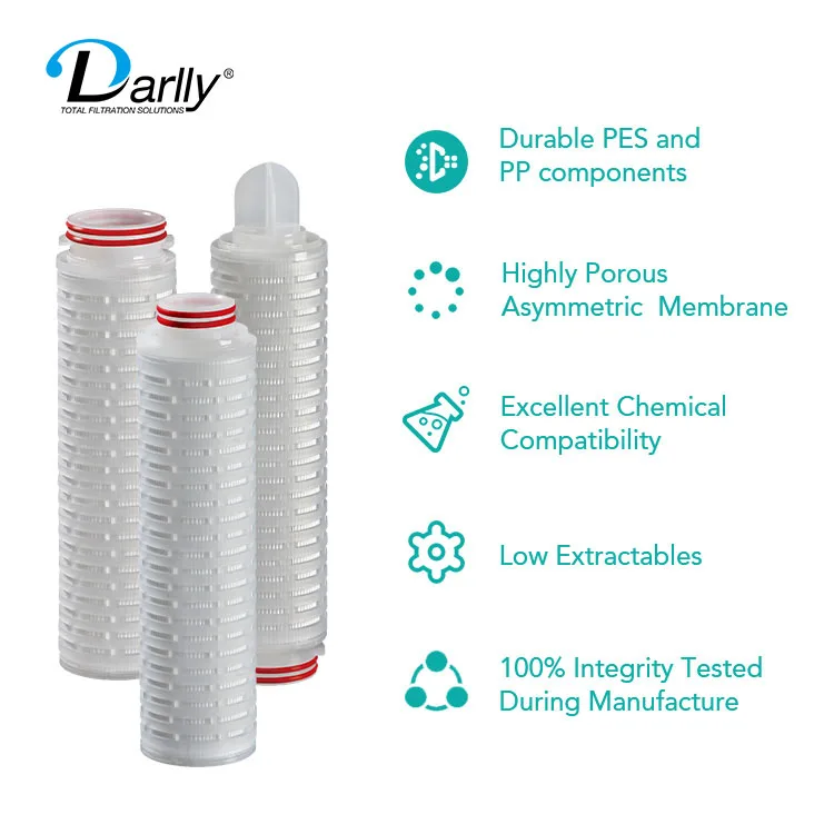 Darlly Wholesale Filter Manufacturers 0.2 Micron PES Filter Cartridges For Juice Food And Beverage Processing Application