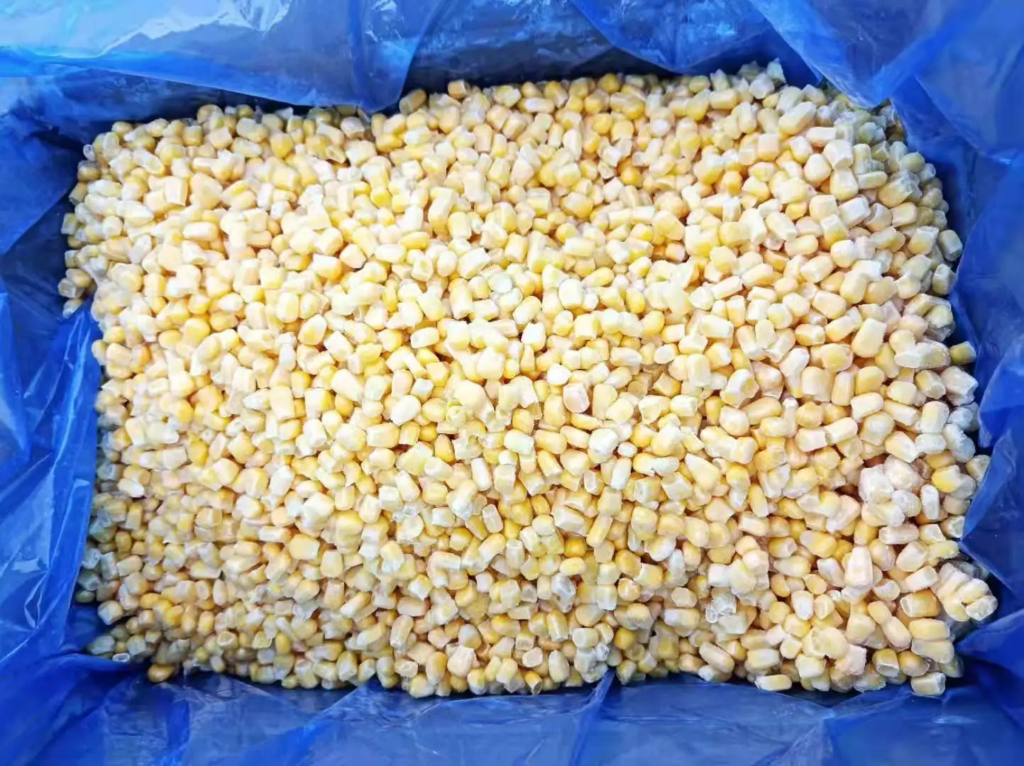  Оптовая продажа деликатные Замороженные сладкие кукурузные ядра из