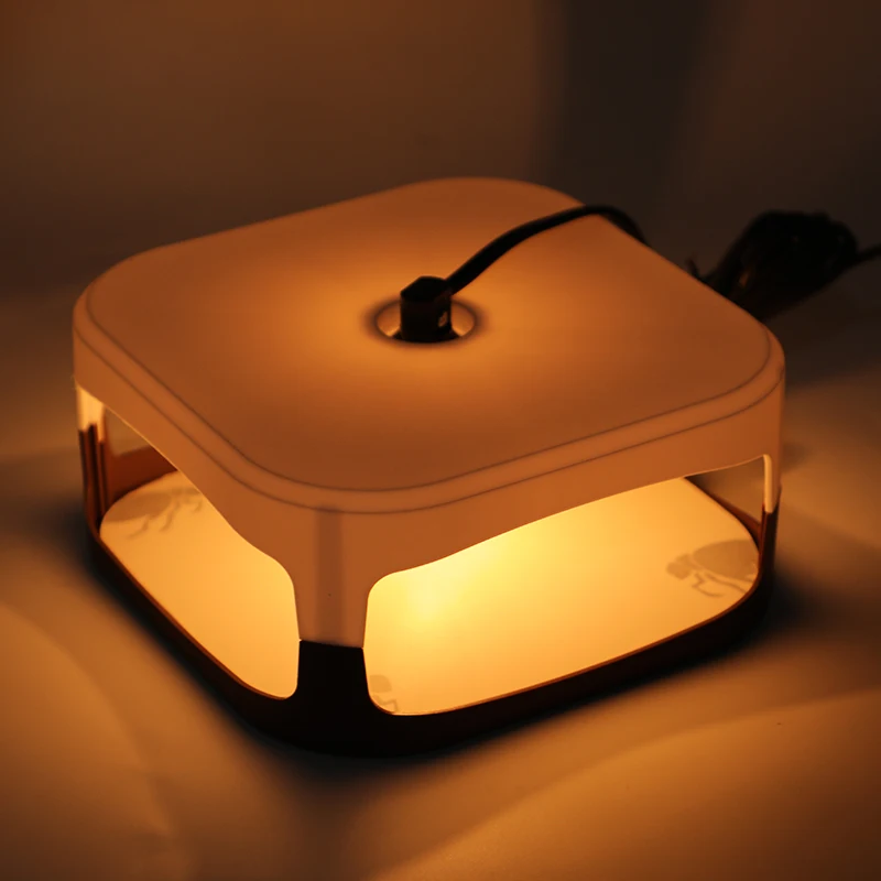 Custom New Indoor Plug In Electric Sticky Flea Trap, Flea Trap Lamp, Flea Trap Light