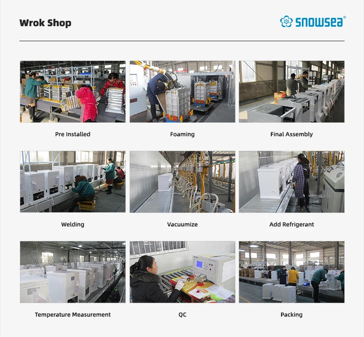 BD-150 Deep Freeze Display Vertical Commercial Refrigerator Freezer